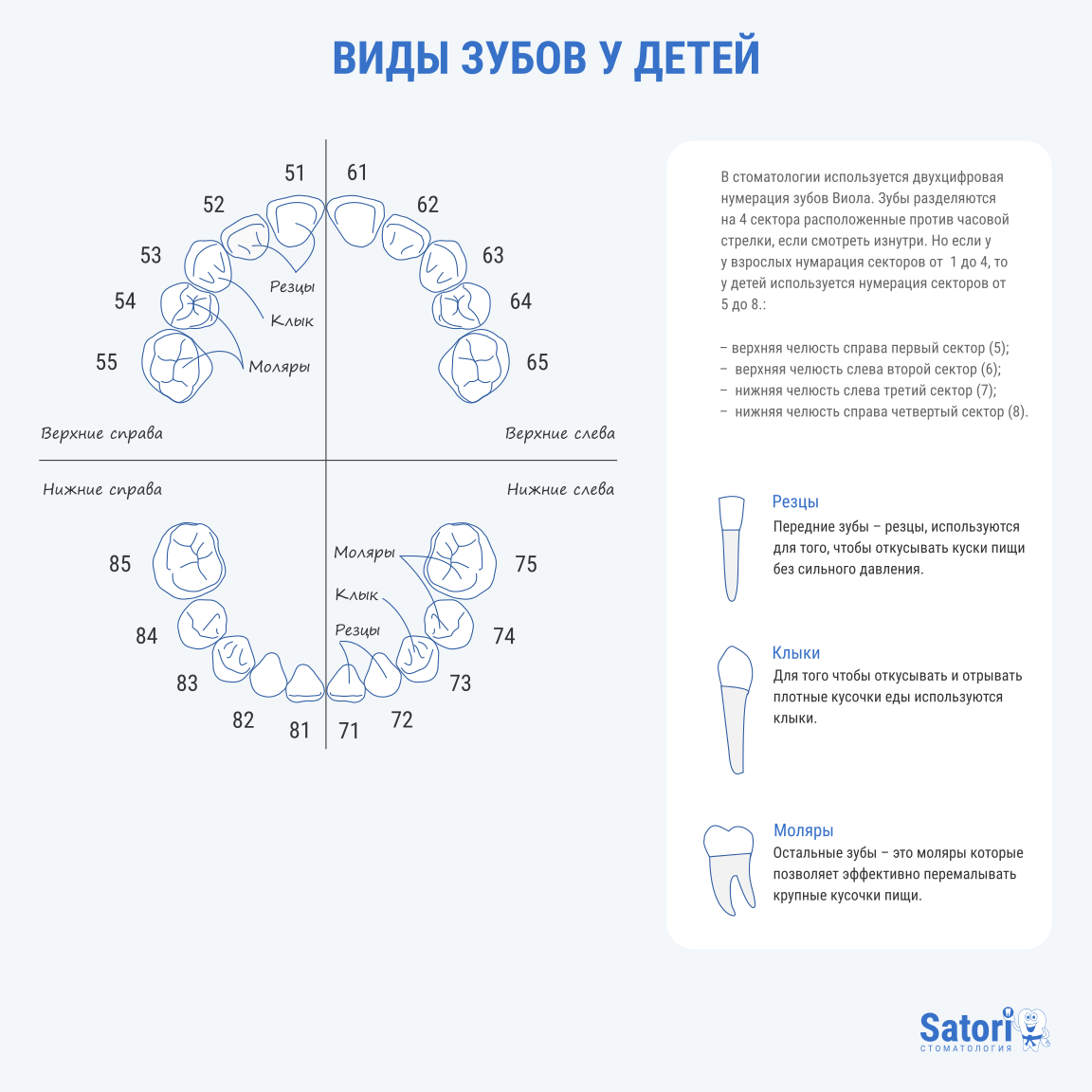 Схема зубов у детей